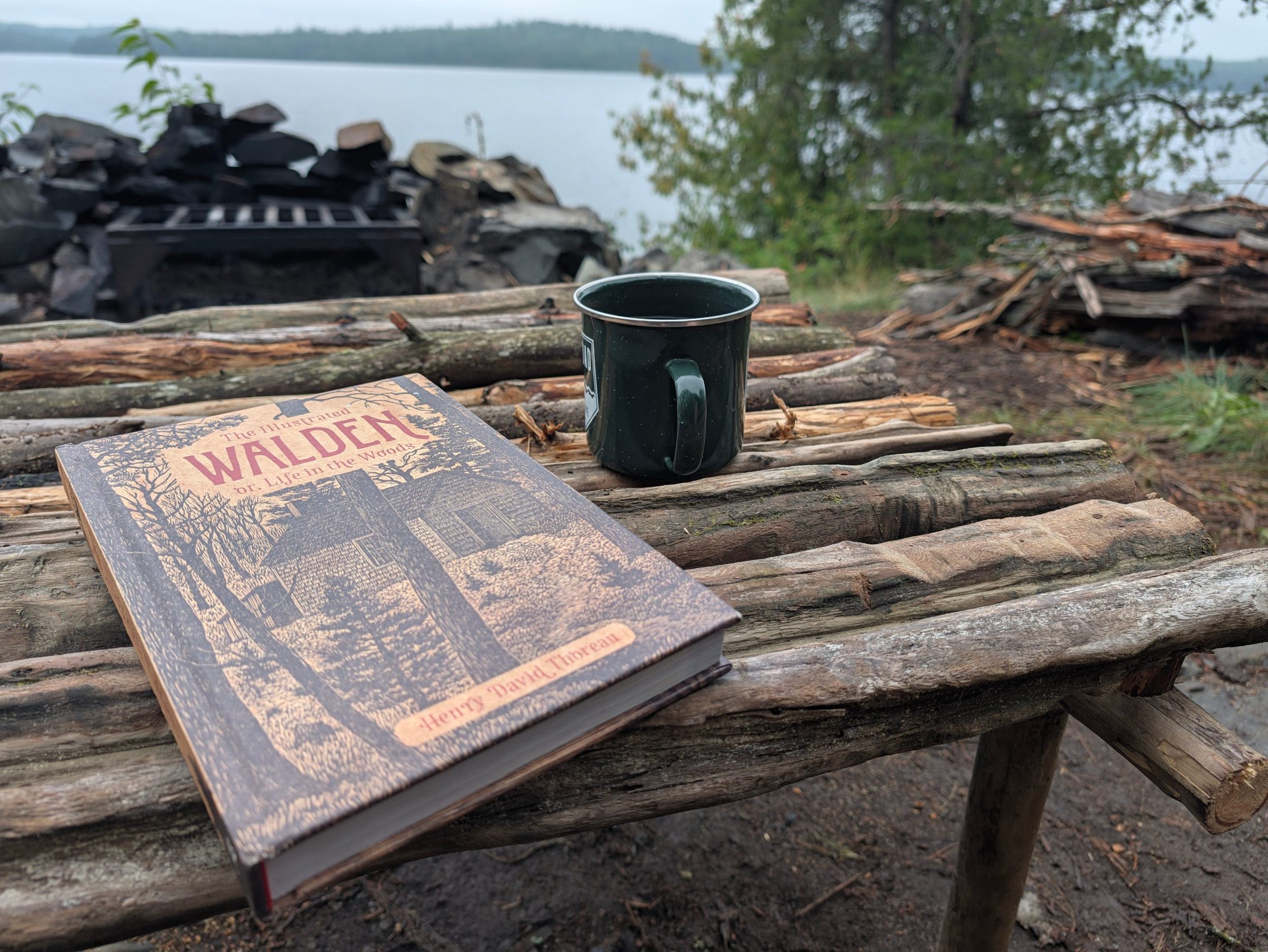 Green enamel mug and a copy of Walden on a hand-built stick table